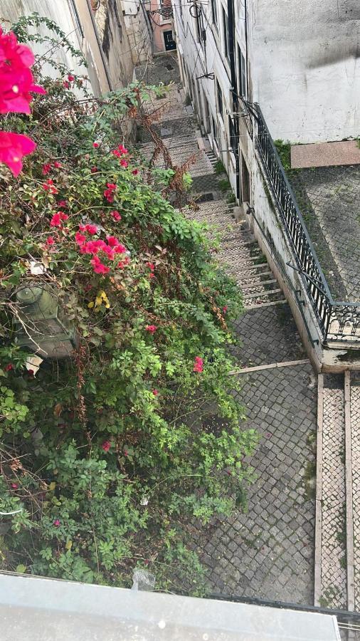 Alfama Authentic Lisbon Daire Dış mekan fotoğraf